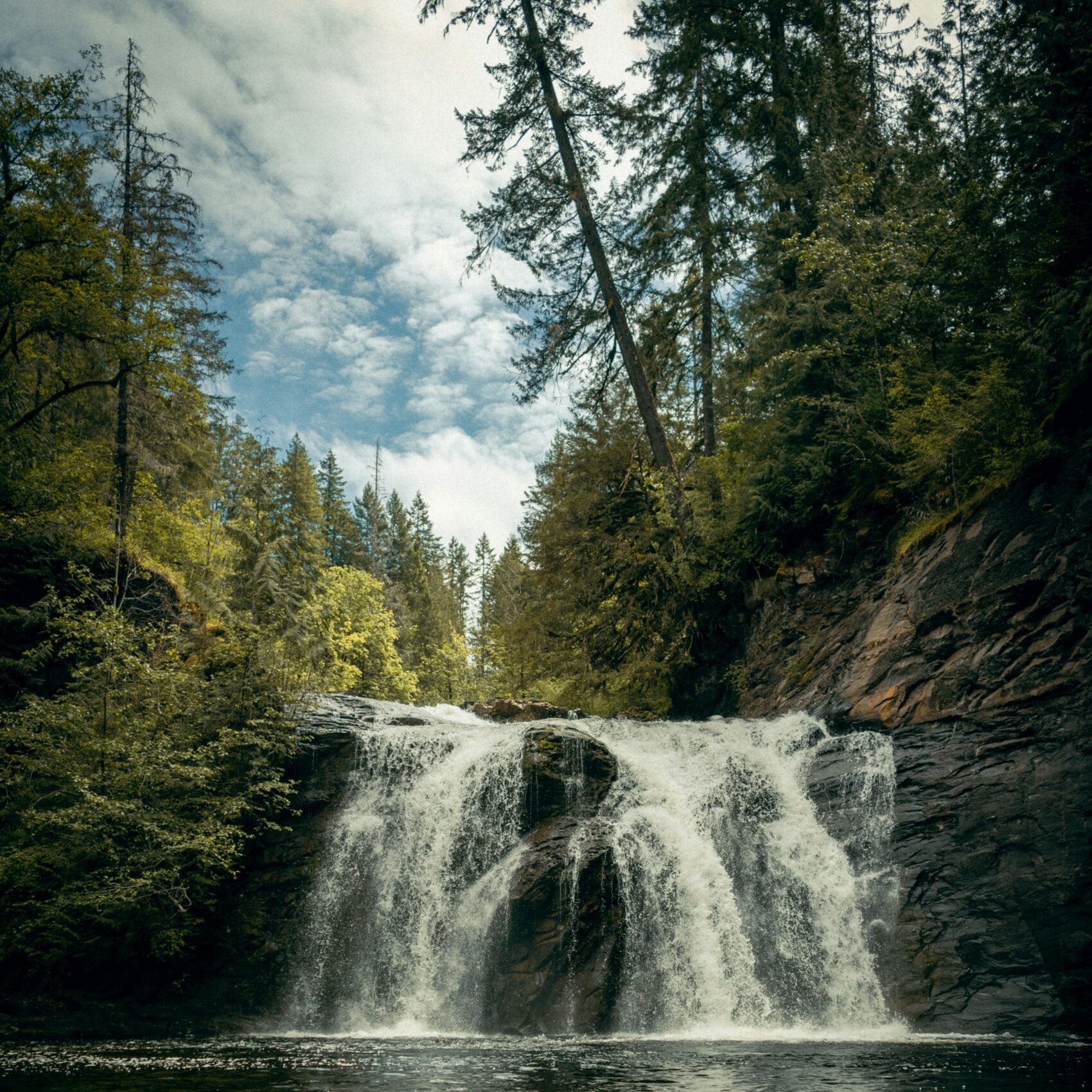cole freeman qeplpcqovim unsplash